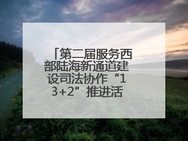 第二届服务西部陆海新通道建设司法协作“13+2”推进活动在南宁举办