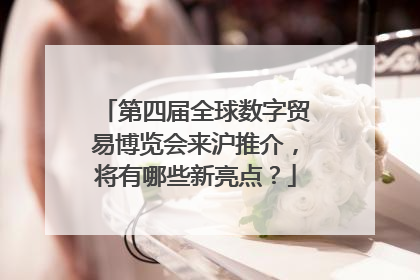 第四届全球数字贸易博览会来沪推介，将有哪些新亮点？