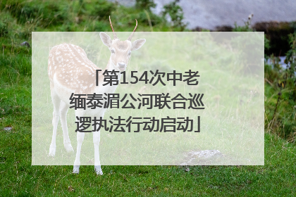 第154次中老缅泰湄公河联合巡逻执法行动启动