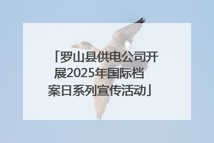 罗山县供电公司开展2025年国际档案日系列宣传活动
