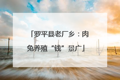 罗平县老厂乡：肉兔养殖“钱”景广
