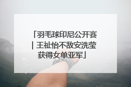 羽毛球印尼公开赛｜王祉怡不敌安洗莹 获得女单亚军