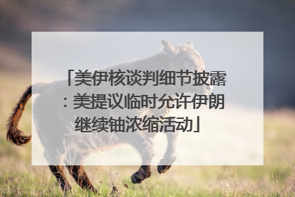 美伊核谈判细节披露：美提议临时允许伊朗继续铀浓缩活动