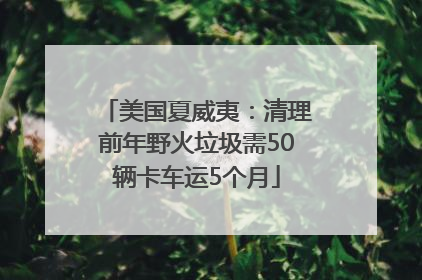 美国夏威夷：清理前年野火垃圾需50辆卡车运5个月