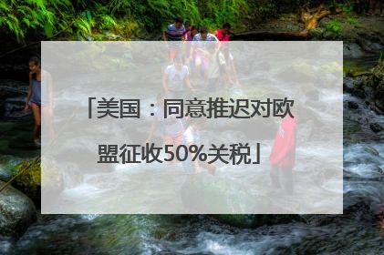 美国：同意推迟对欧盟征收50%关税