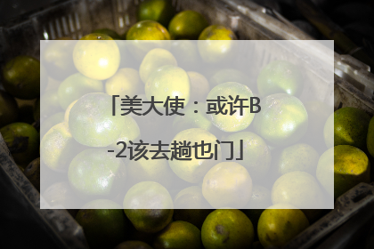 美大使：或许B-2该去趟也门