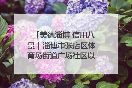 美德淄博 信用八景｜淄博市张店区体育场街道广场社区以诚信串起幸福脉络