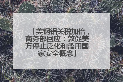 美钢铝关税加倍，商务部回应：敦促美方停止泛化和滥用国家安全概念