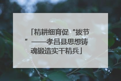 精耕细育促“拔节”——孝昌县思想铸魂锻造实干精兵