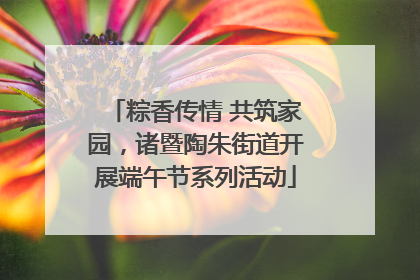 粽香传情 共筑家园，诸暨陶朱街道开展端午节系列活动