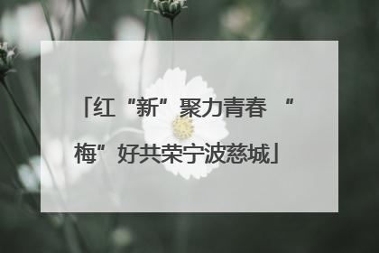 红“新”聚力青春 “梅”好共荣宁波慈城