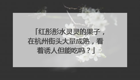 红彤彤水灵灵的果子，在杭州街头大量成熟，看着诱人但能吃吗？