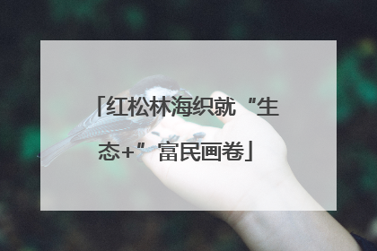 红松林海织就“生态+”富民画卷