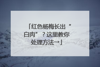红色杨梅长出“白肉”？这里教你处理方法→
