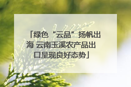 绿色“云品”扬帆出海 云南玉溪农产品出口呈现良好态势