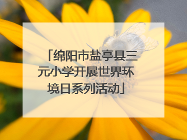 绵阳市盐亭县三元小学开展世界环境日系列活动