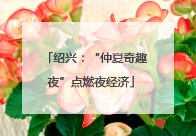 绍兴：“仲夏奇趣夜”点燃夜经济