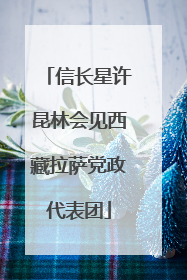 信长星许昆林会见西藏拉萨党政代表团