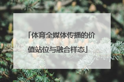 体育全媒体传播的价值站位与融合样态