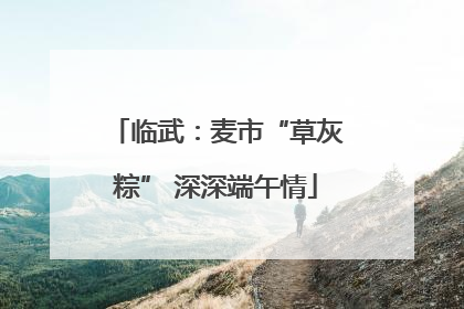 临武：麦市“草灰粽” 深深端午情