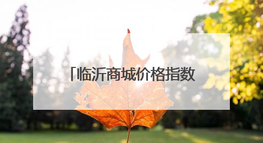 临沂商城价格指数分析（6月19日—6月25日）