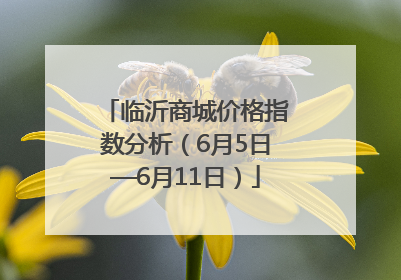 临沂商城价格指数分析（6月5日—6月11日）