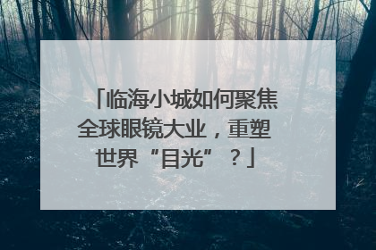 临海小城如何聚焦全球眼镜大业，重塑世界“目光”？