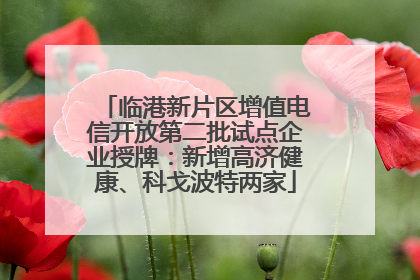 临港新片区增值电信开放第二批试点企业授牌：新增高济健康、科戈波特两家