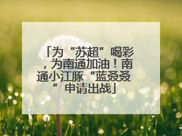 为“苏超”喝彩，为南通加油！南通小江豚“蓝叒叒”申请出战