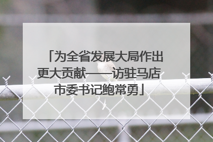 为全省发展大局作出更大贡献——访驻马店市委书记鲍常勇