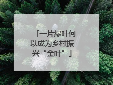 一片绿叶何以成为乡村振兴“金叶”