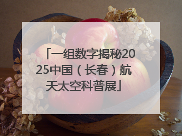 一组数字揭秘2025中国（长春）航天太空科普展