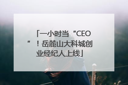 一小时当“CEO”！岳麓山大科城创业经纪人上线