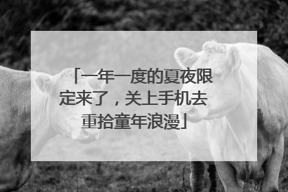 一年一度的夏夜限定来了，关上手机去重拾童年浪漫