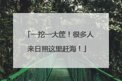 一挖一大筐！很多人来日照这里赶海！
