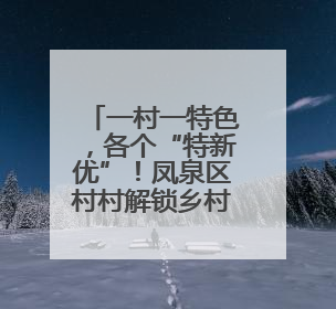 一村一特色，各个“特新优”！凤泉区村村解锁乡村振兴“富民果”