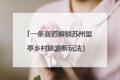 一条赛道解锁苏州望亭乡村旅游新玩法
