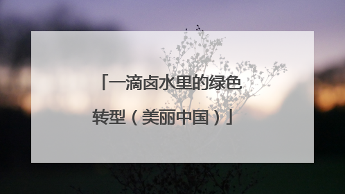 一滴卤水里的绿色转型（美丽中国）