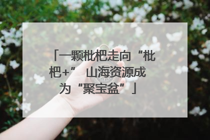 一颗枇杷走向“枇杷+” 山海资源成为“聚宝盆”