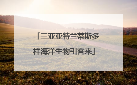 三亚亚特兰蒂斯多样海洋生物引客来
