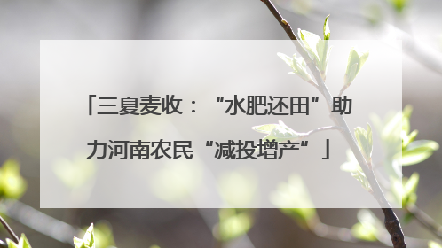 三夏麦收：“水肥还田”助力河南农民“减投增产”
