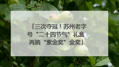 三次夺冠！苏州老字号“二十四节气”礼盒再摘“紫金奖”金奖