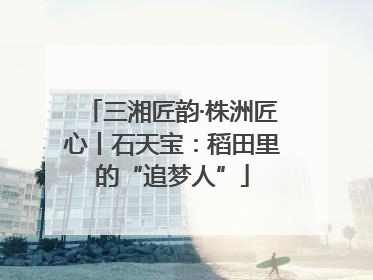 三湘匠韵·株洲匠心丨石天宝：稻田里的“追梦人”