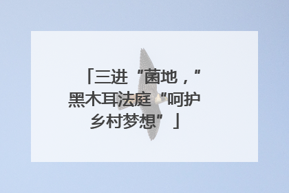 三进“菌地，”黑木耳法庭“呵护乡村梦想”