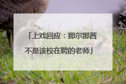上戏回应：那尔那茜不是该校在聘的老师