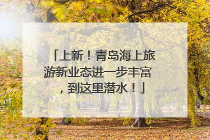 上新！青岛海上旅游新业态进一步丰富，到这里潜水！
