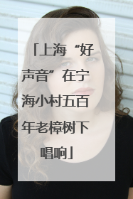 上海“好声音”在宁海小村五百年老樟树下唱响