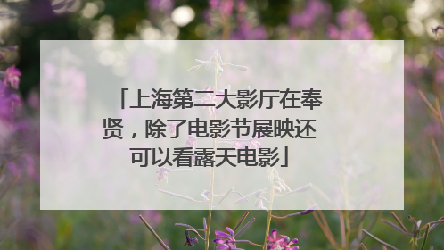 上海第二大影厅在奉贤，除了电影节展映还可以看露天电影
