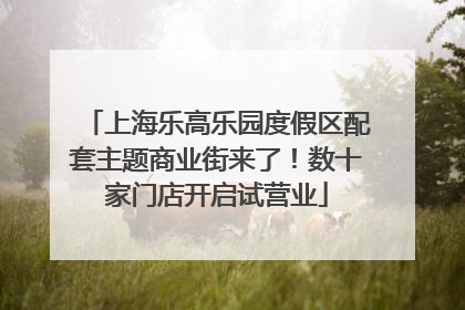 上海乐高乐园度假区配套主题商业街来了！数十家门店开启试营业