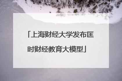 上海财经大学发布匡时财经教育大模型